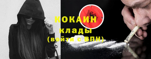 стафф Алзамай