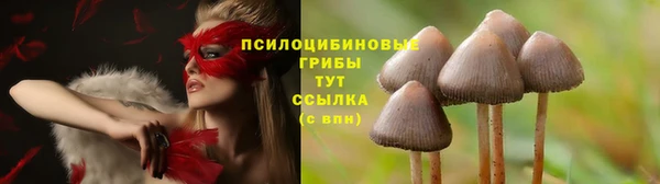 стафф Алзамай