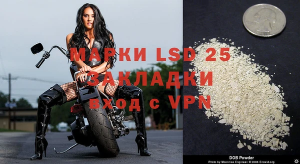 стафф Алзамай
