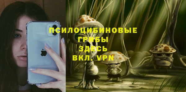 ECSTASY Алексин